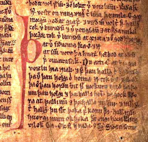 The M&ouml;&eth;ruvallab&oacute;k is an Icelandic manuscript from the mid-14th century. Eleven sagas are found in the book, the first of which is Nj&aacute;l's Saga.